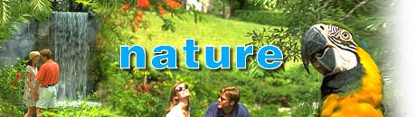 Grand Bahama - Nature